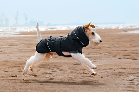 Abrigo Impermeable para Perros - Protección Contra Viento y Frío - Image 20