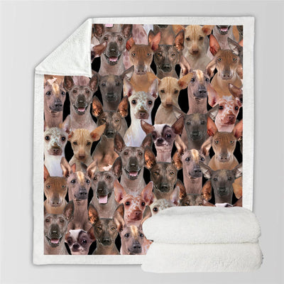 Manta Flanela Estampada para Perros de Moda - Image 90