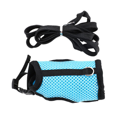 Light gray mesh pet harness with black trim and matching leash on a black and white rabbit. - Image 5