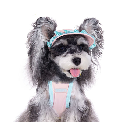 Gorra para Perros Pequeños con Orejas Descubiertas - Bichón, Schnauzer - Image 5