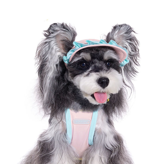 Gorra para Perros Pequeños con Orejas Descubiertas - Bichón, Schnauzer - Image 5