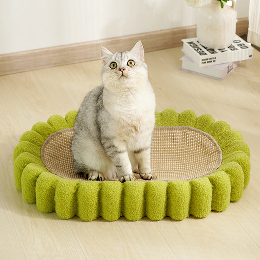 Rascador Ovalado para Gatos con Cuenco - Protector de Muebles y Nido Acogedor - Image 13