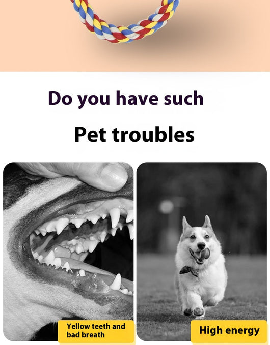 Juguete de Cuerda para Tirar Limpiador Dental Interactivo para Perros - Image 15