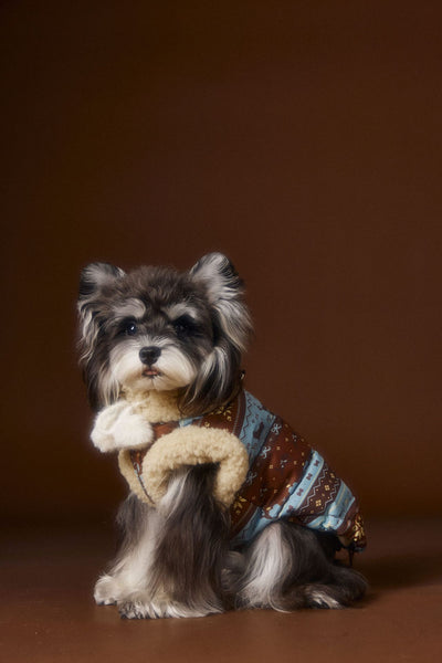 Chaleco Fair Isle para Mascotas Schnauzer Bichon Teddy - Image 9