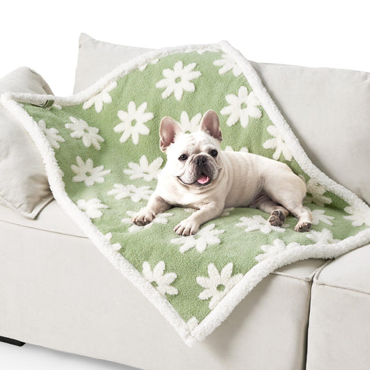 Manta Impermeable para Mascotas Shu Algodón Grueso - Image 9