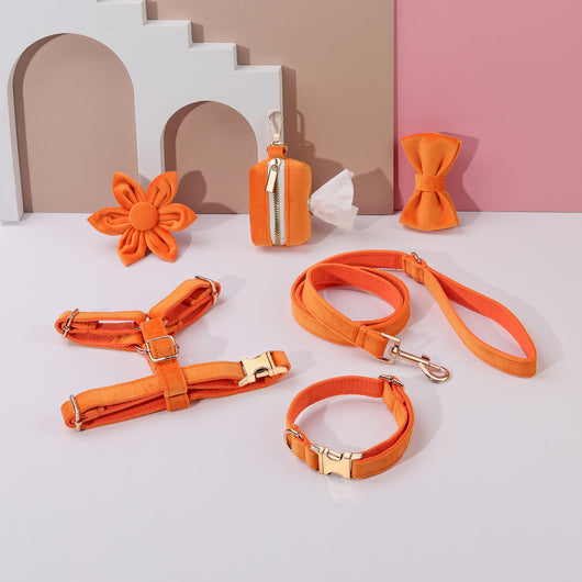 Conjunto de Collar y Correa de Terciopelo Suave para Mascotas - Image 12