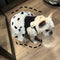 Falda Estampada Casual para Perro - Verano