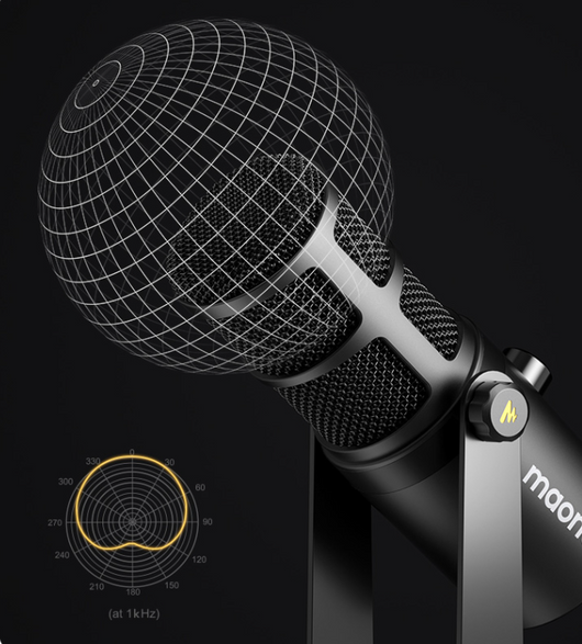 Micrófono Dinámico Tianwang Core XLR Profesional para Streaming y Radio - Image 4