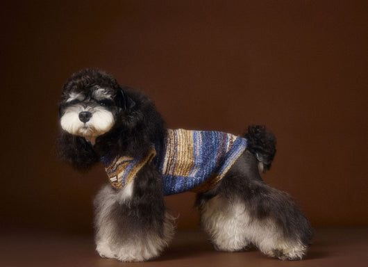 Chaleco Sin Mangas para Mascotas Schnauzer Bichón Rayas Arcoíris Variegadas - Image 13