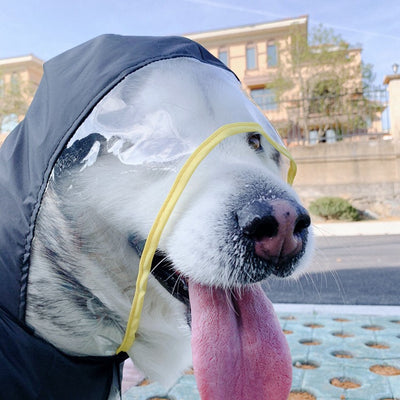 Impermeable para Mascotas con Protección Total - Image 9