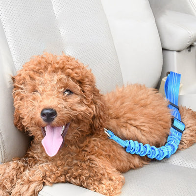 Cinturón de Seguridad Elástico para Perros en Auto - Image 9