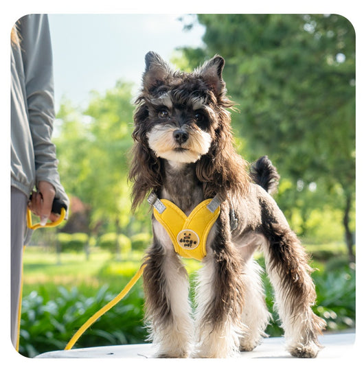 Arnés de Paseo con Correa de Mano para Mascotas - Image 22