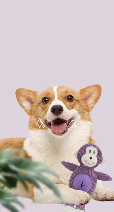 Juguete Resistente para Perros - Diseño Animal Duradero e Irrompible - Image 11