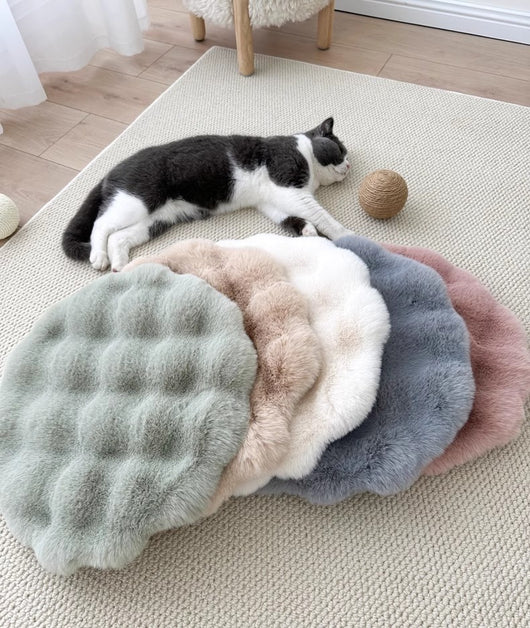 Cama Redonda Térmica para Mascotas - Confort Otoño Invierno - Image 14