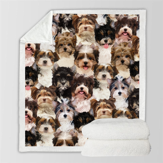 Manta de Franela Estampada para Perros de Diseño Moderno - Image 93