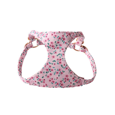 Arnés Floral para Mascotas con Correa de Paseo - Image 13