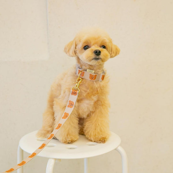 Juguete de Cuerda para Perros Osito Suave y Resistente