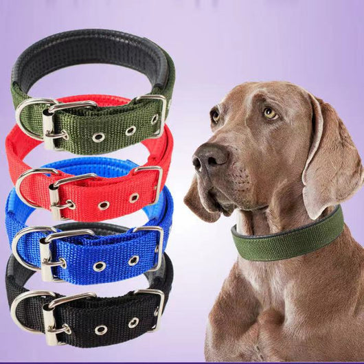 Collares Ajustables para Perros Grandes de Tamaño Compacto - Image 13