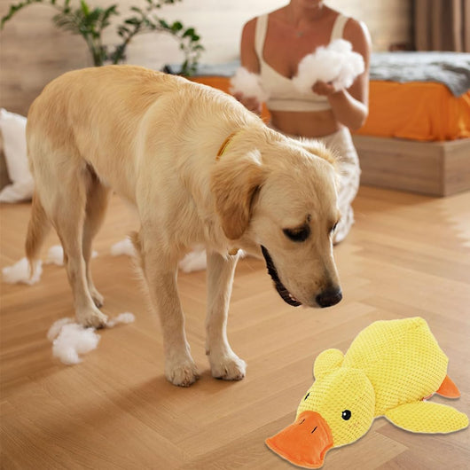 Juguetes para Perros Pato de Goma - Todas las Razas, Pequeños a Grandes - Image 10