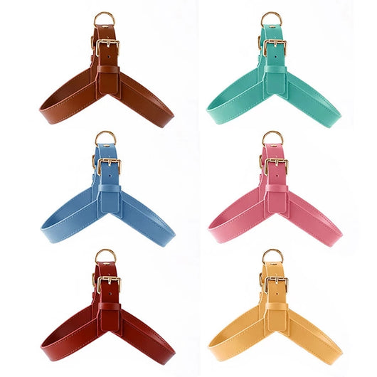 Arnés Chaleco para Perros y Gatos - Correa de Pecho Ajustable para Verano - Image 15