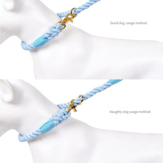 Collar Tipo P Ajustable para Perros Pequeños y Medianos - Image 23