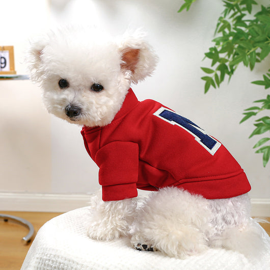 Sudadera con Capucha para Perros Teddy y Bichón - Abrigo de Otoño e Invierno - Image 14