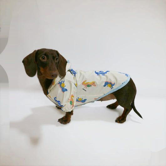 Ropa para Mascotas Dinosaurio Resistente al Agua - Primavera y Verano - Image 9