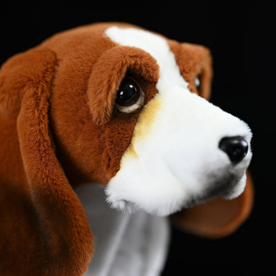 Peluche Simulado Baggio - Juguete Coleccionable - Image 12