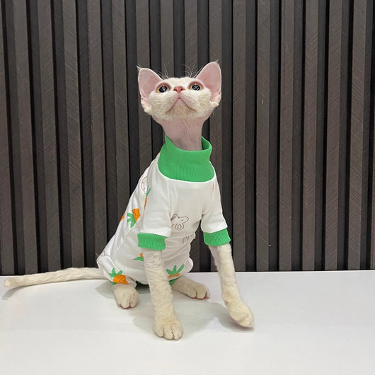 Ropa Térmica para Gatos Sin Pelo - Conjunto Completo Antiestático - Image 4
