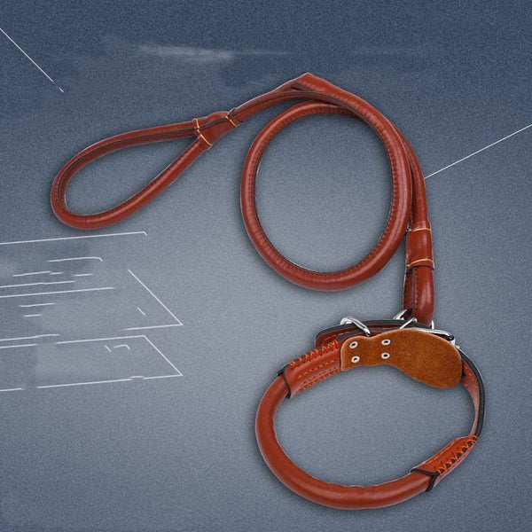 Collar de Cuero Premium con Cuerda para Perros Golden Retriever y Husky Tamaño Mediano-Grande