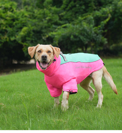 Abrigo Térmico de Polar para Perros - Image 31