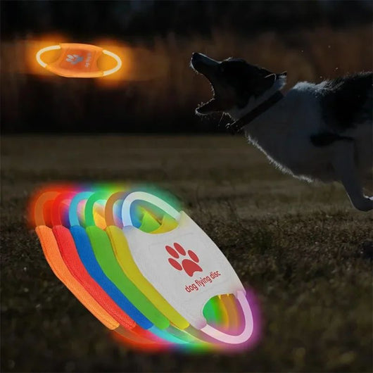 Red LED light-up dog flying disc with a white paw print logo and "dog flying disc" text.