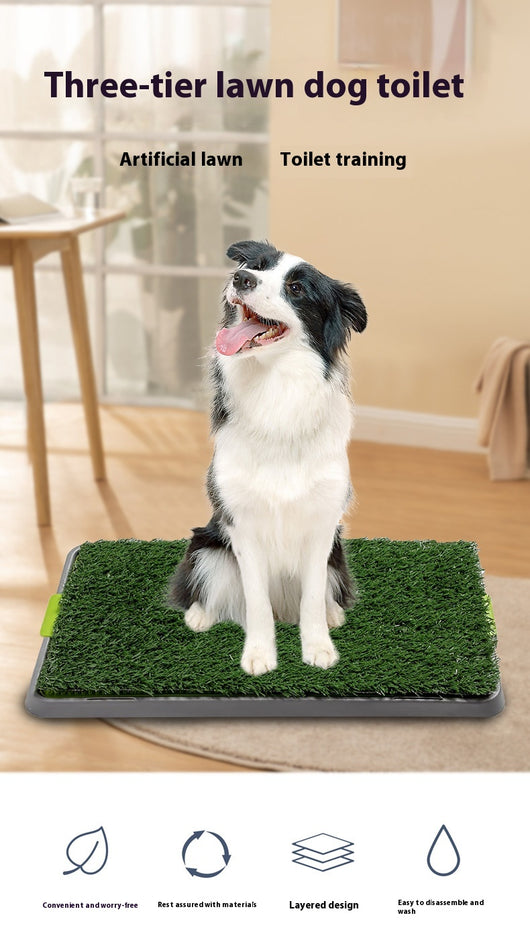 Arenero de Entrenamiento Fijo para Perros - Baño Portátil - Image 8