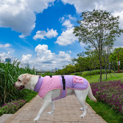 Abrigo Térmico para Perros - Invierno y Otoño - Image 11