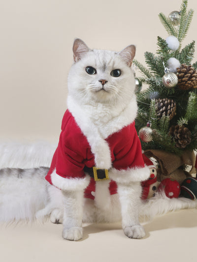 Ropa Navideña para Mascotas: Abrigos y Suéteres para Perros y Gatos - Image 12