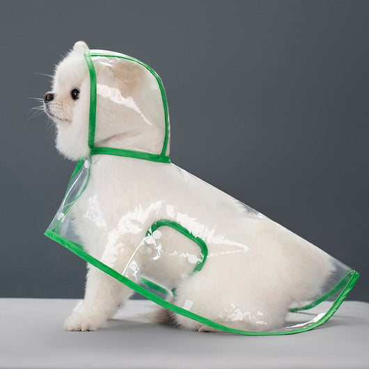 Impermeable Transparente para Perros - Image 10