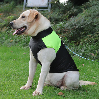 Abrigo Impermeable Acolchado para Perros - Chaleco Térmico con Cierre de Cremallera - Image 17