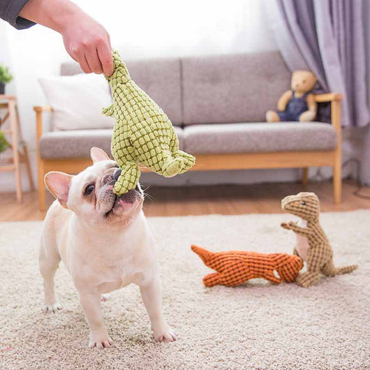 Juguete Interactivo con Sonidos para Perros - Alivia el Aburrimiento - Image 11