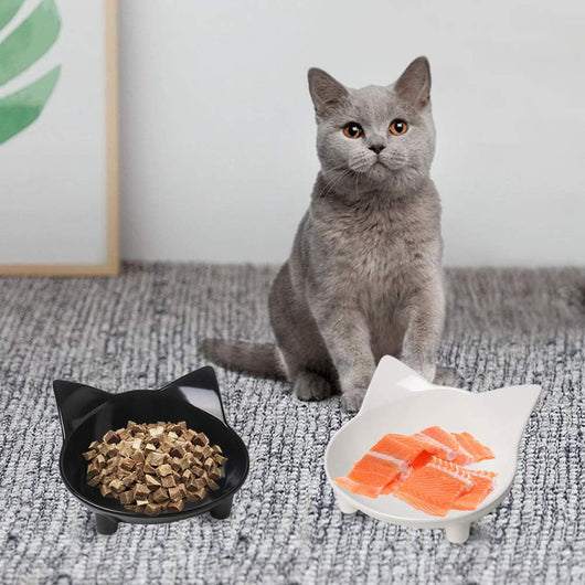 Comedero y Bebedero Antideslizante para Gatos - Cuencos Anchos contra Fatiga de Bigotes - Image 10