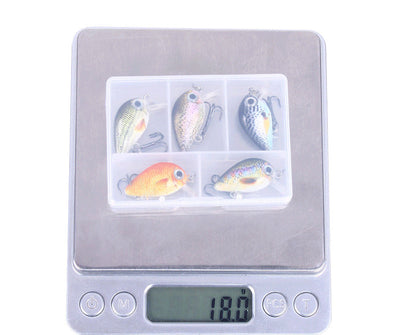 Set de 5 Señuelos de Pesca Mini Rock 1.5g - Colores Variados - Image 11