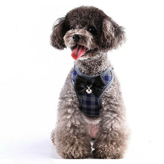 Correa para Perro - Image 8