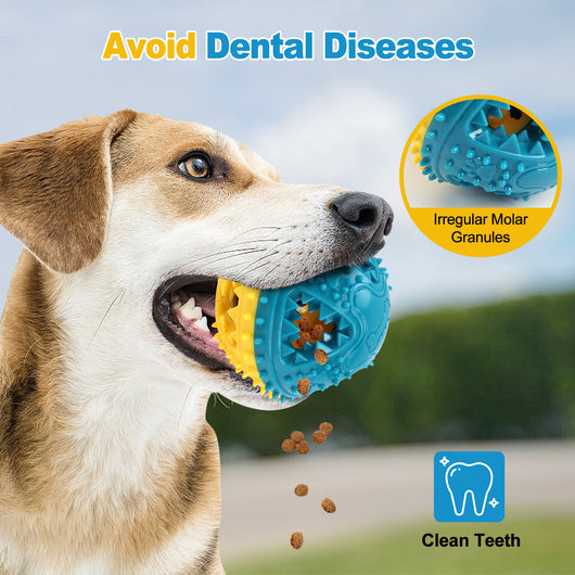 Juguete Interactivo para Perros con Dispensador de Comida y Limpieza Dental