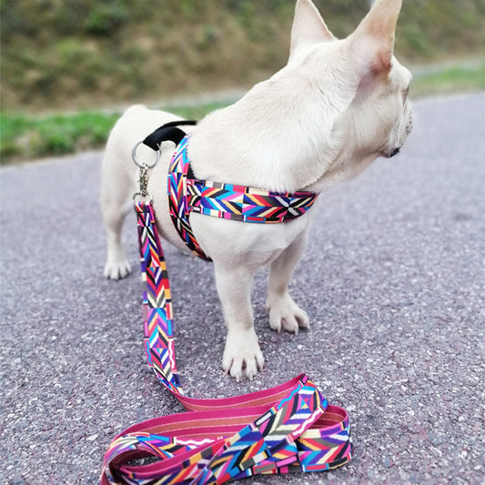 Arnés de Pecho para Perros Pequeños - Diseño Deportivo para Exteriores