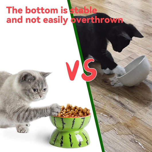 Comedero Elevado de Cerámica para Gatos - Plato Inclinado Antiválvulos para Gatos y Perros Pequeños - Image 13