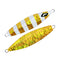 Gilt-head bream