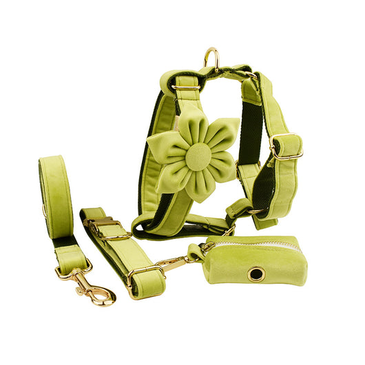 Collar para Perro de Terciopelo Suave