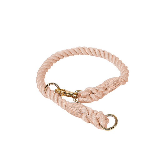 Collar Tipo P Ajustable para Perros Pequeños y Medianos - Image 9
