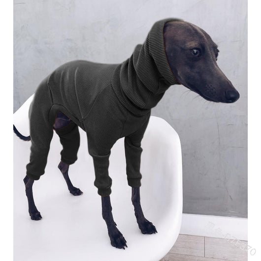 Mono Ligero para Perros Whippet y Galgos Italianos - Talla Mediana a Grande - Image 5