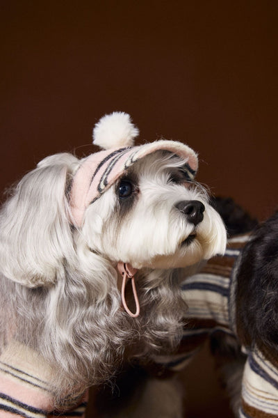 Gorro de Pelota Esponjosa a Rayas para Mascotas - Image 6