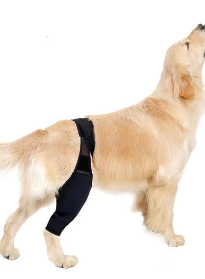 Protector de Patas para Perros con Soporte de Rodilla y Correas Ajustables - Image 4